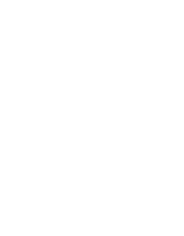 Secure Shield